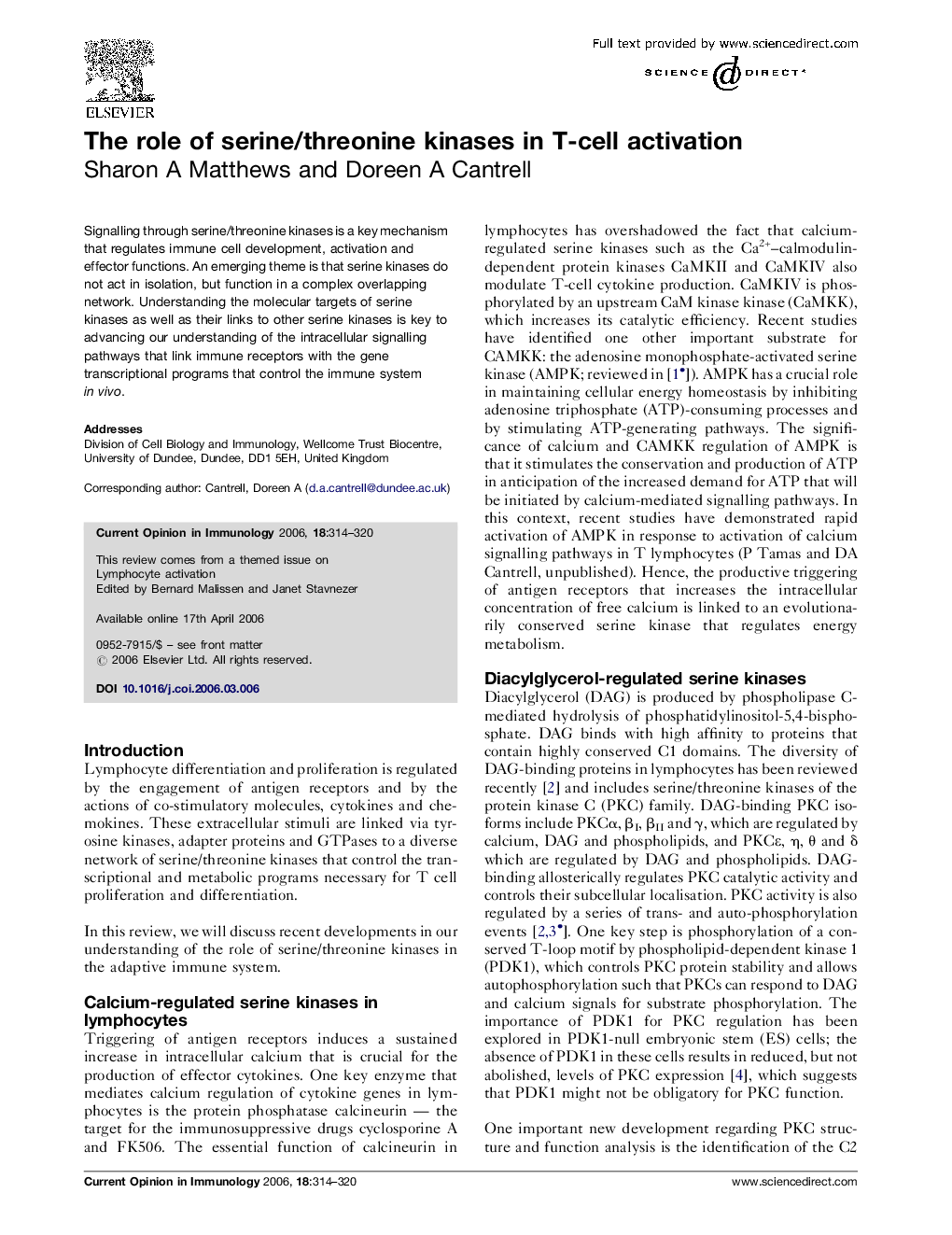 The role of serine/threonine kinases in T-cell activation