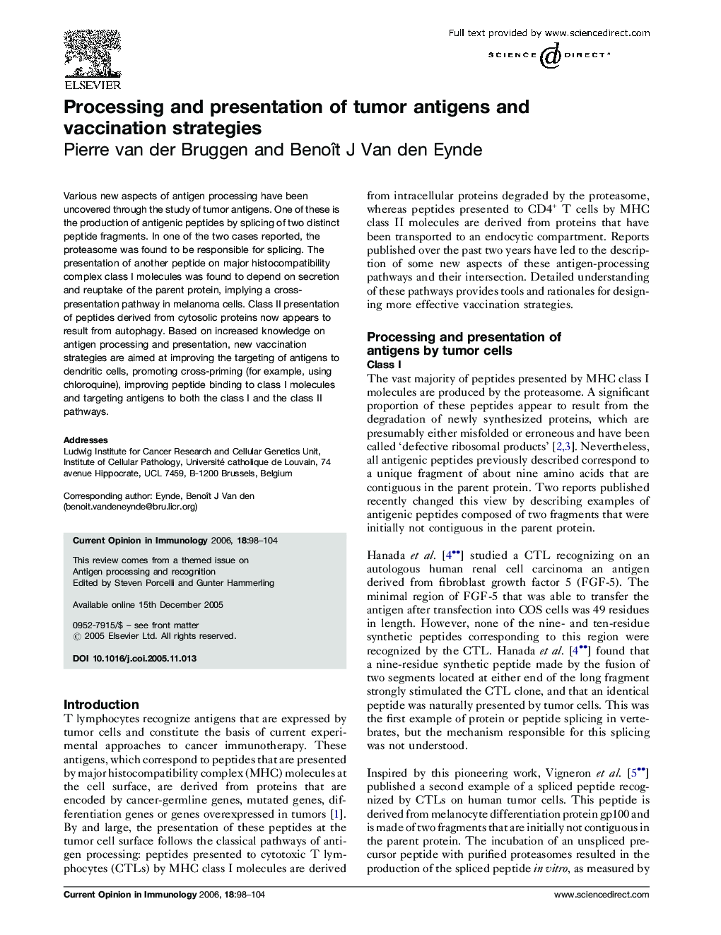 Processing and presentation of tumor antigens and vaccination strategies