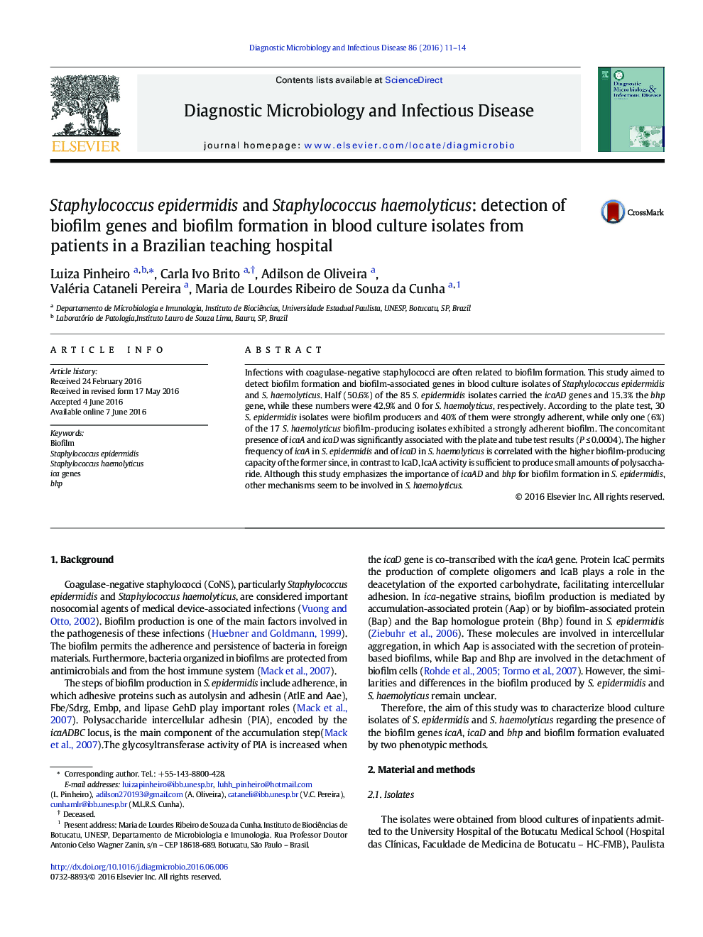Staphylococcus epidermidis and Staphylococcus haemolyticus: detection of biofilm genes and biofilm formation in blood culture isolates from patients in a Brazilian teaching hospital