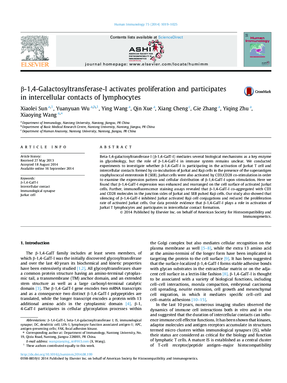 β-1,4-Galactosyltransferase-I activates proliferation and participates in intercellular contacts of lymphocytes