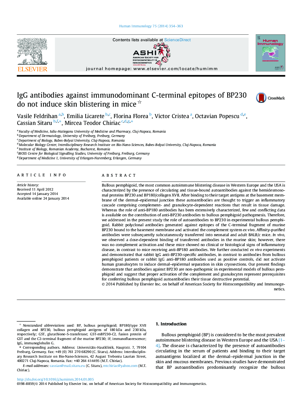 IgG antibodies against immunodominant C-terminal epitopes of BP230 do not induce skin blistering in mice 