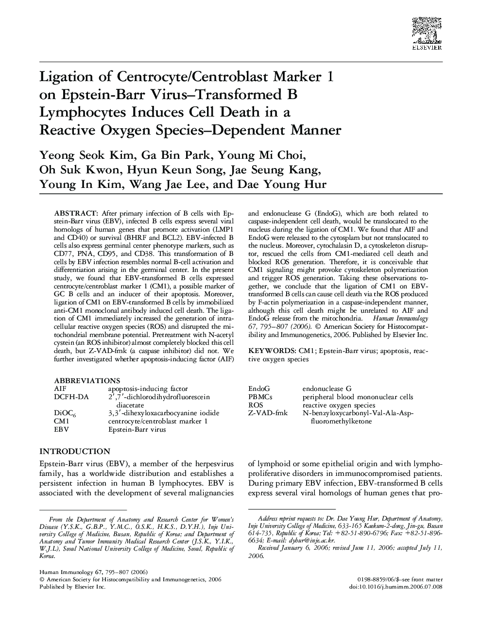 Ligation of Centrocyte/Centroblast Marker 1 on Epstein-Barr Virus-Transformed B Lymphocytes Induces Cell Death in a Reactive Oxygen Species-Dependent Manner