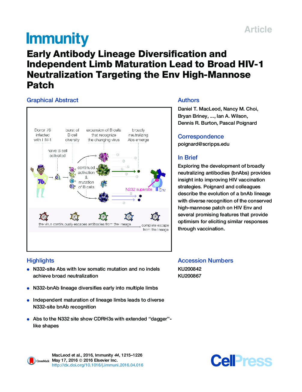 Early Antibody Lineage Diversification and Independent Limb Maturation Lead to Broad HIV-1 Neutralization Targeting the Env High-Mannose Patch