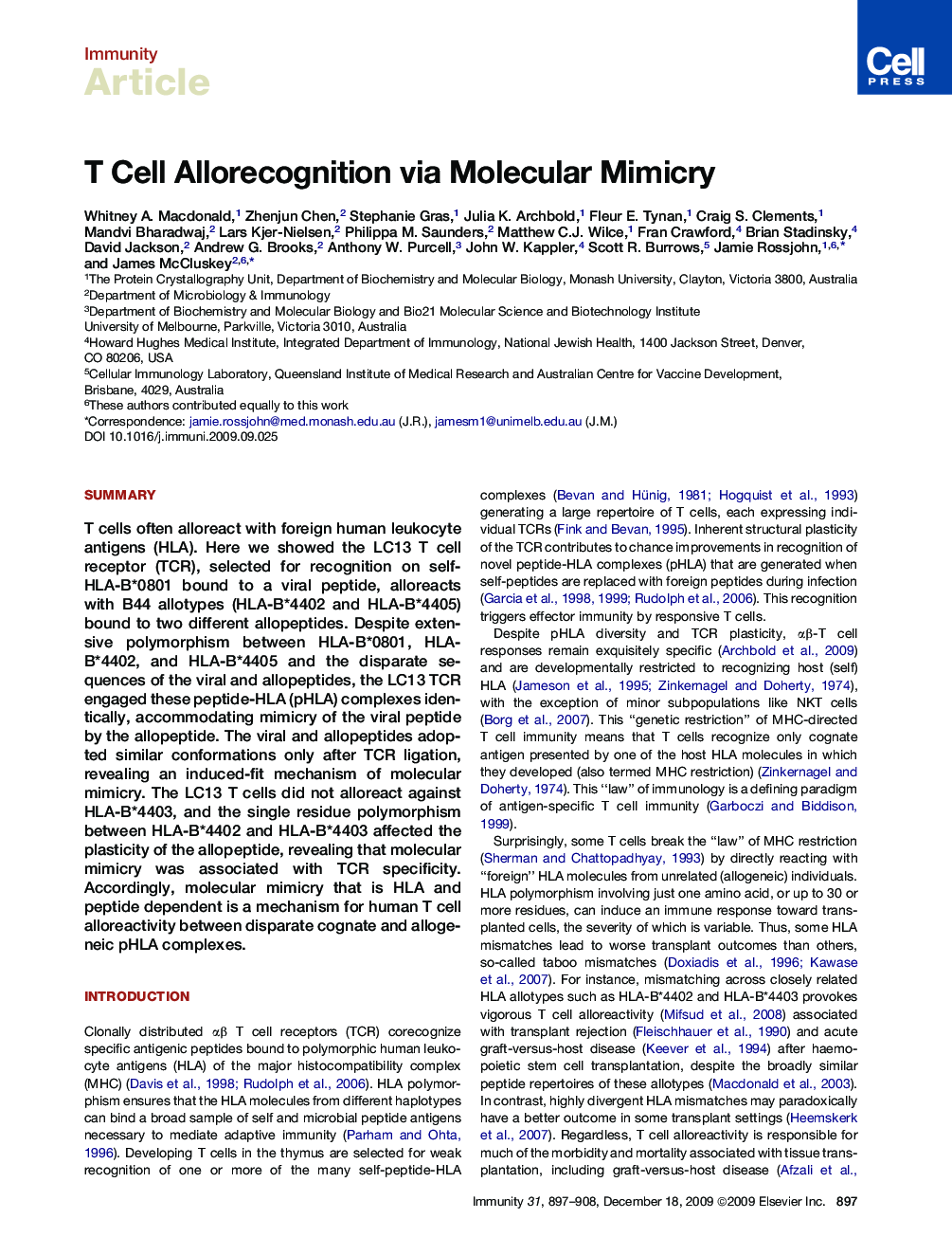 T Cell Allorecognition via Molecular Mimicry