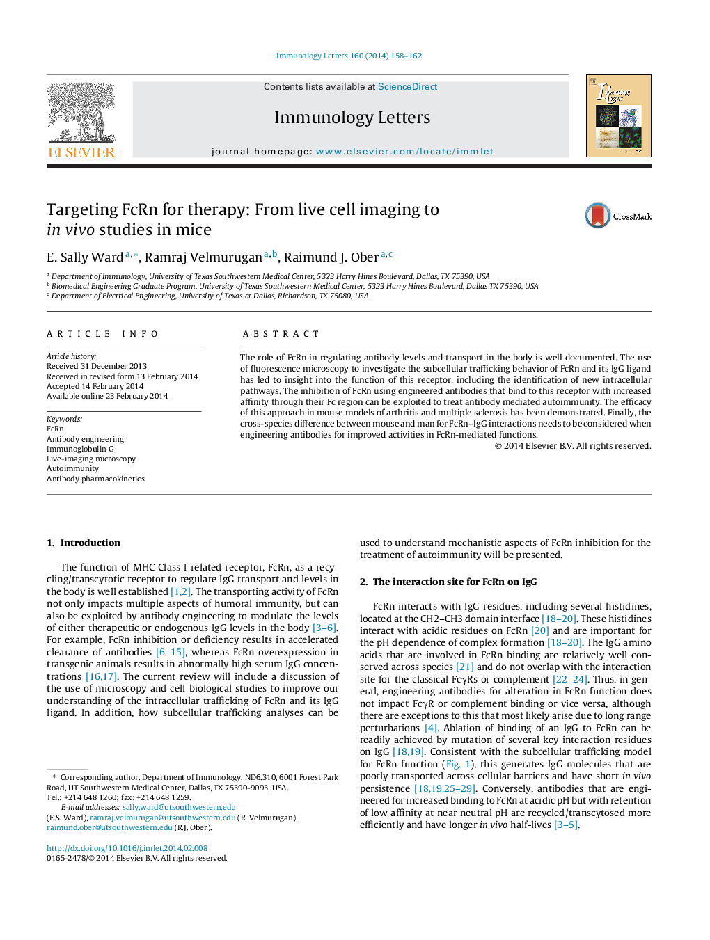 Targeting FcRn for therapy: From live cell imaging to in vivo studies in mice