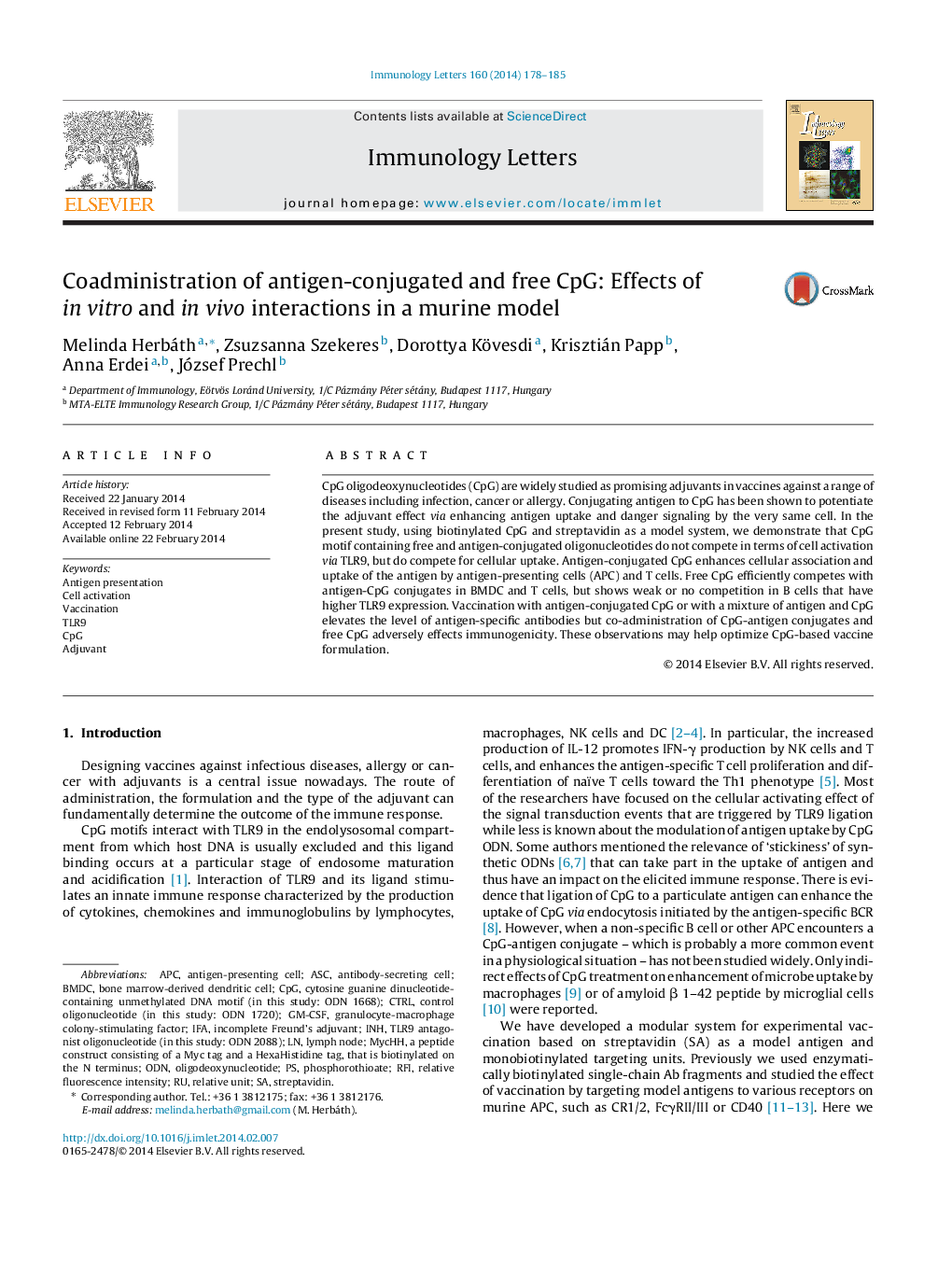 Coadministration of antigen-conjugated and free CpG: Effects of in vitro and in vivo interactions in a murine model