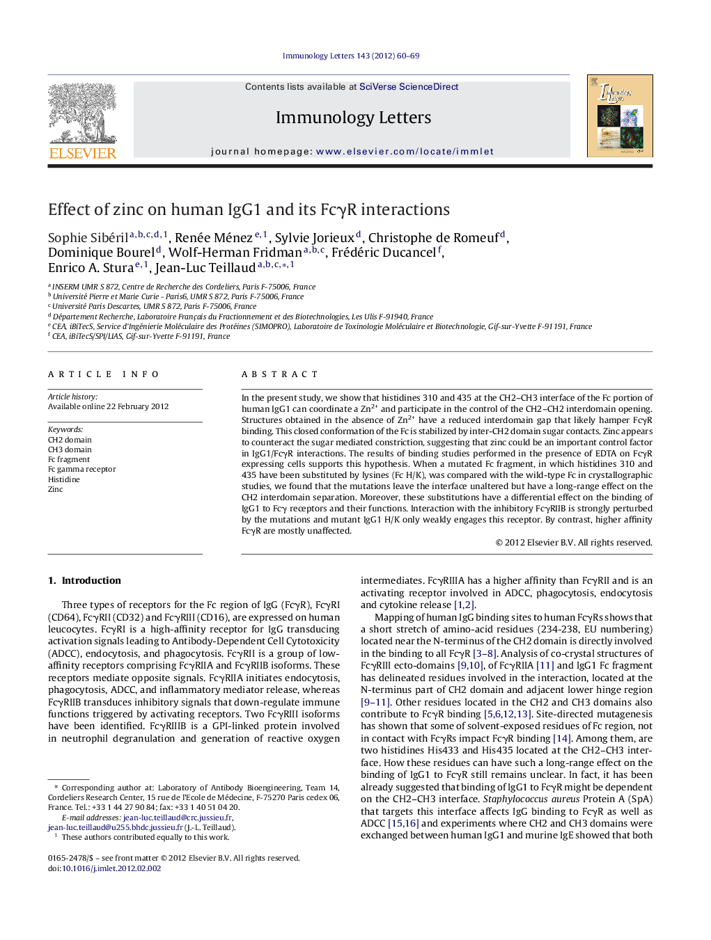 Effect of zinc on human IgG1 and its FcγR interactions