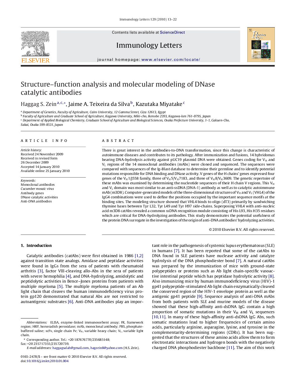 Structure–function analysis and molecular modeling of DNase catalytic antibodies