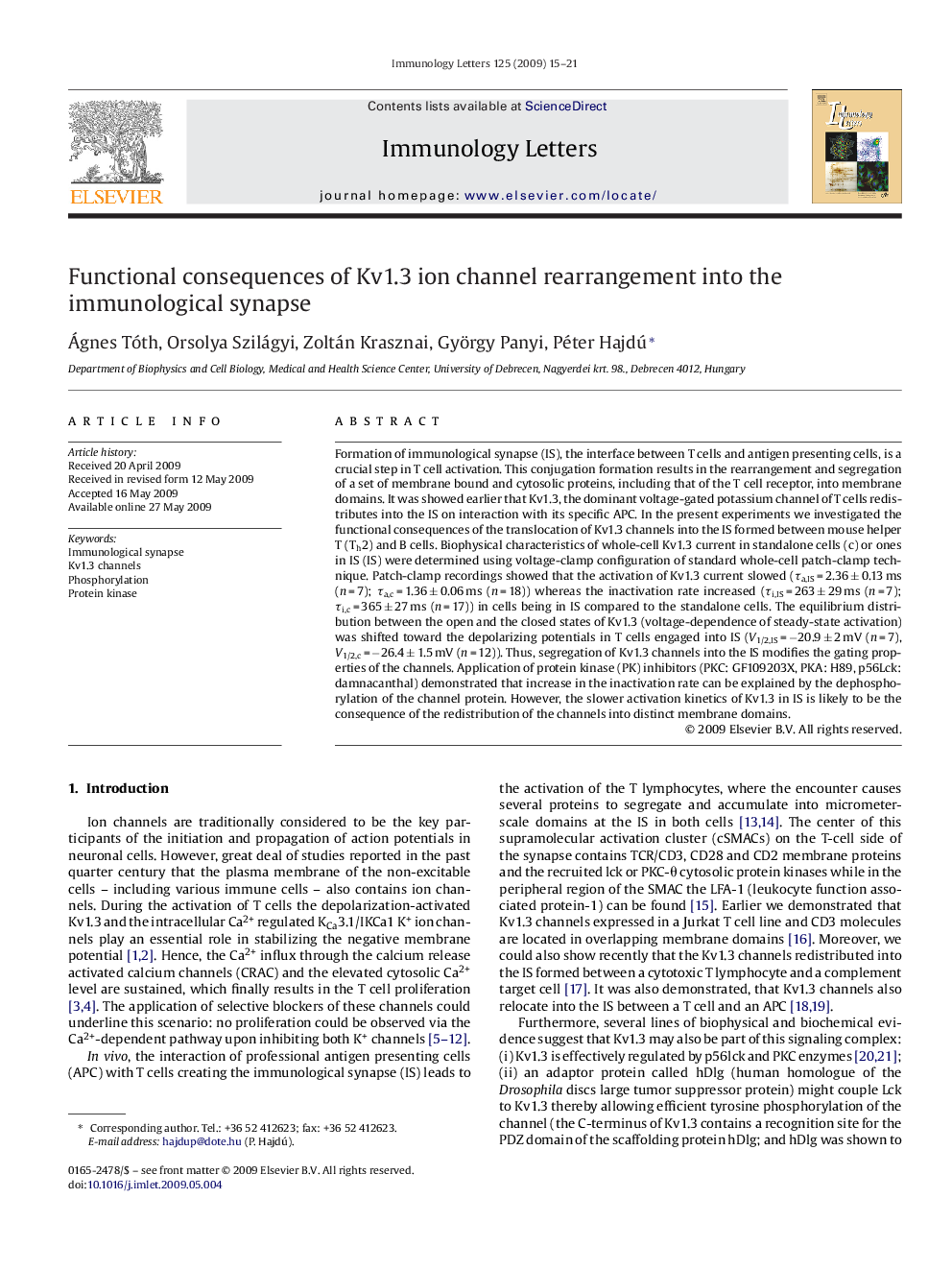 Functional consequences of Kv1.3 ion channel rearrangement into the immunological synapse