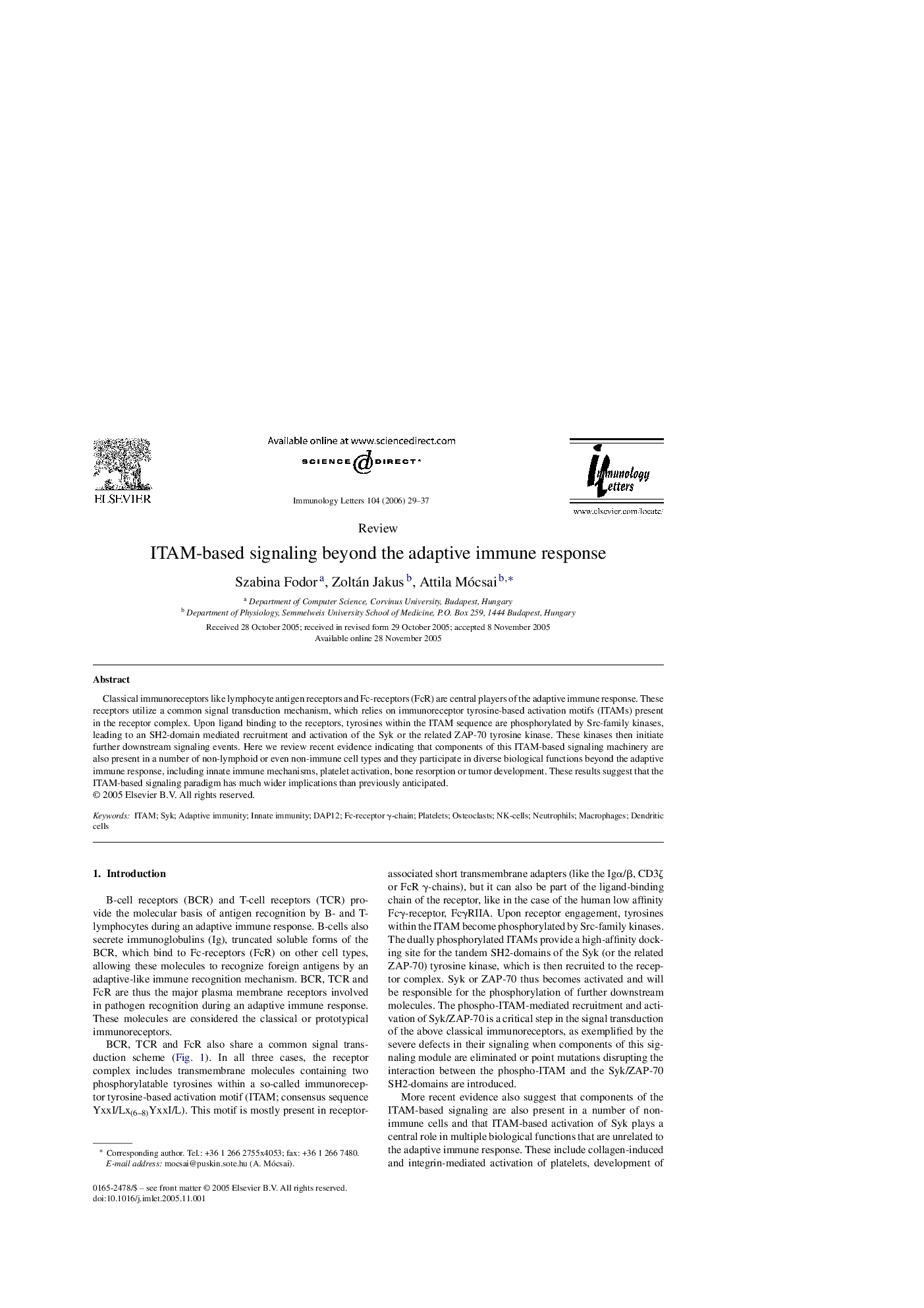 ITAM-based signaling beyond the adaptive immune response