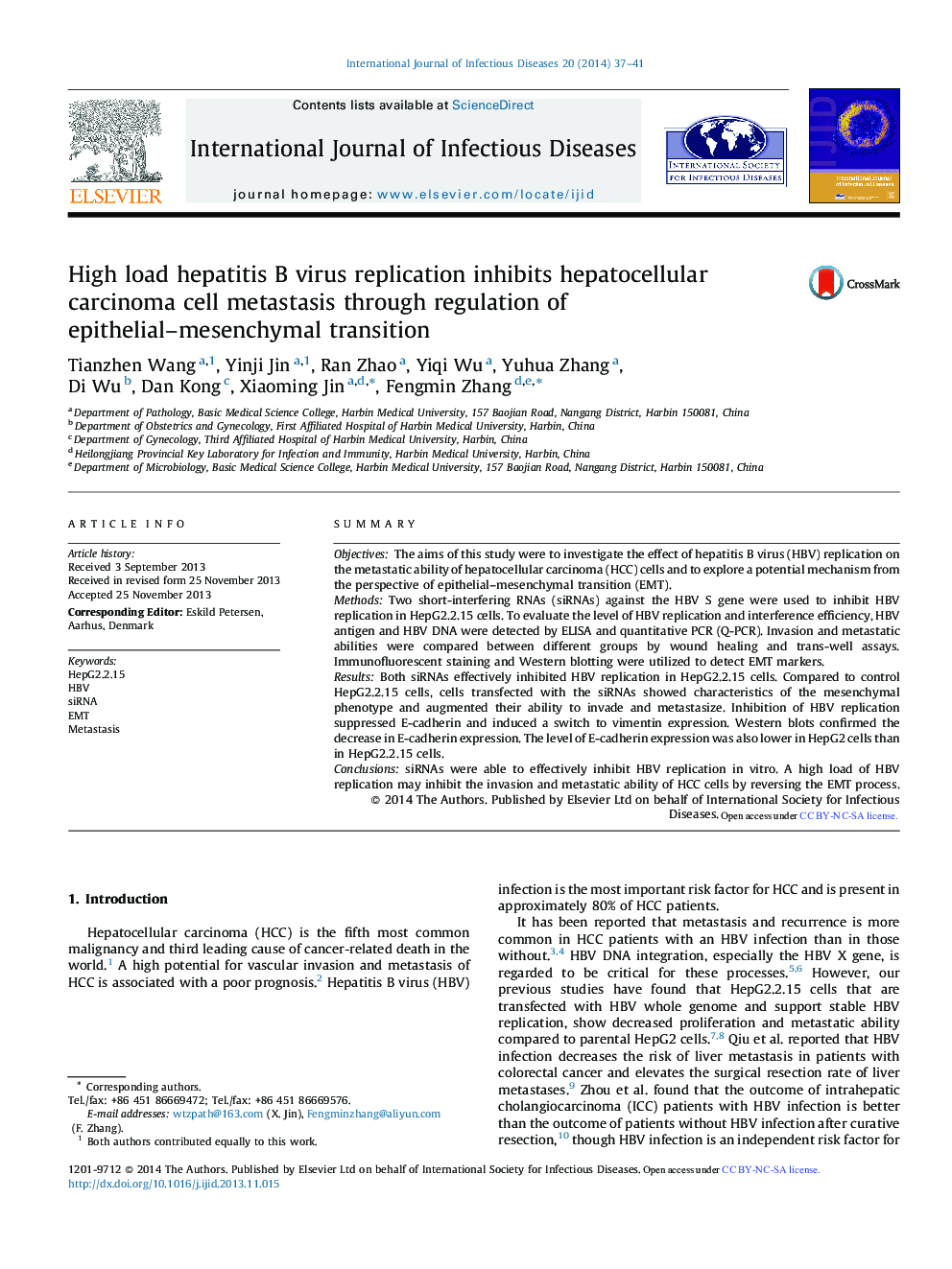 High load hepatitis B virus replication inhibits hepatocellular carcinoma cell metastasis through regulation of epithelial–mesenchymal transition