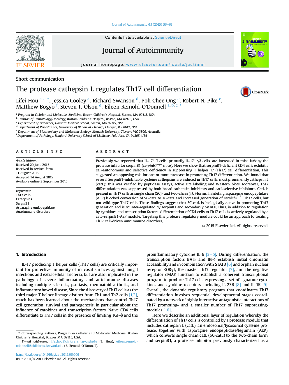 The protease cathepsin L regulates Th17 cell differentiation