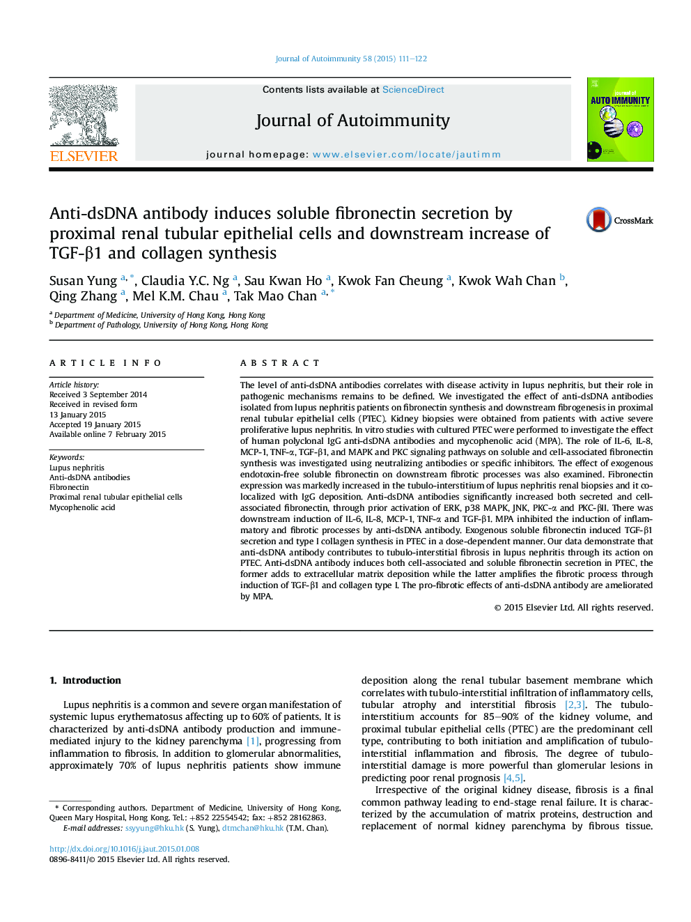 Anti-dsDNA antibody induces soluble fibronectin secretion by proximal renal tubular epithelial cells and downstream increase of TGF-β1 and collagen synthesis