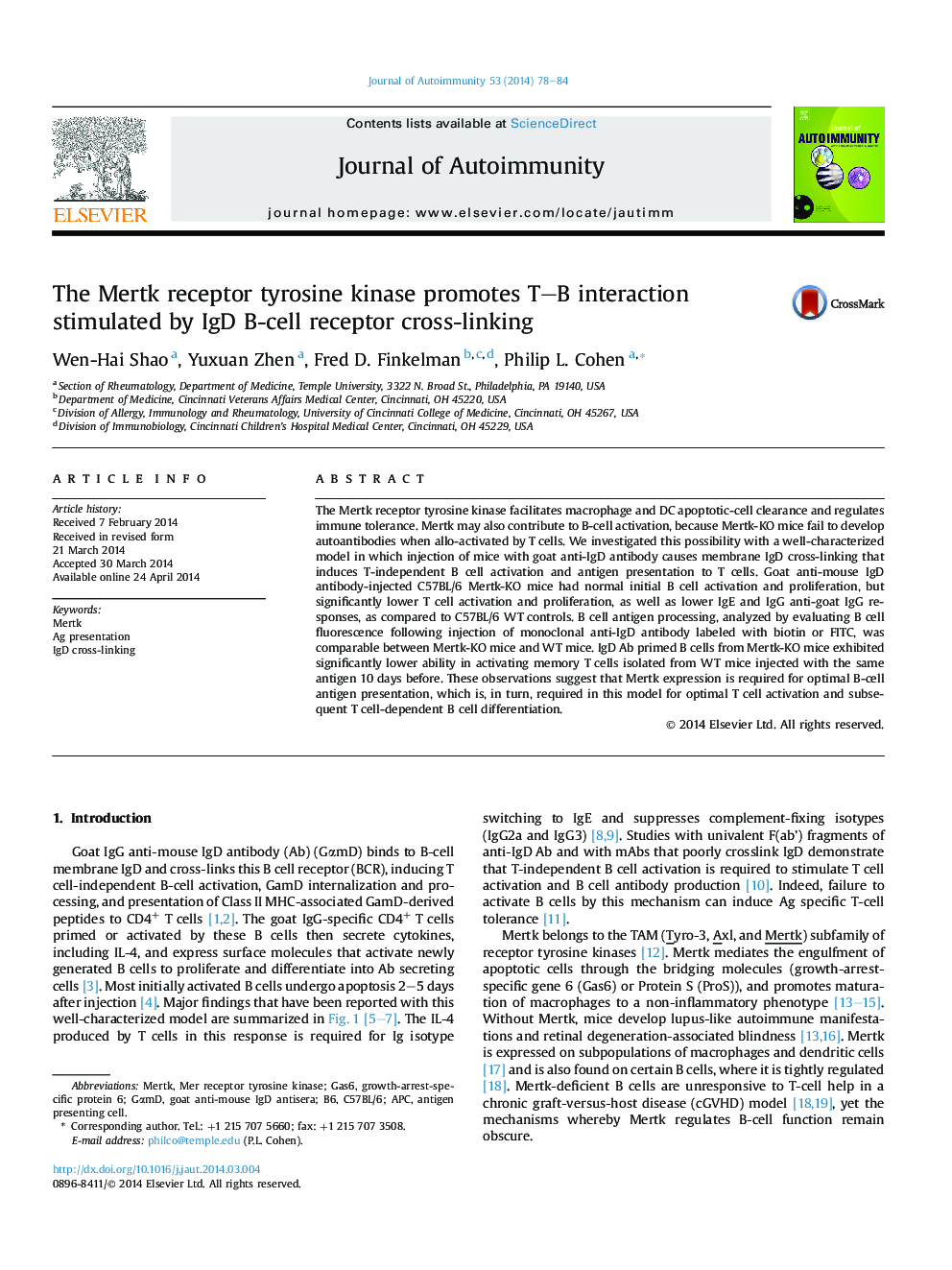 The Mertk receptor tyrosine kinase promotes T–B interaction stimulated by IgD B-cell receptor cross-linking