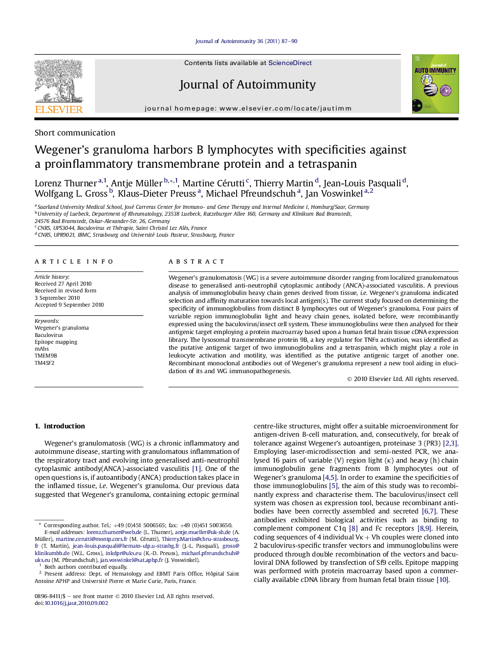 Wegener’s granuloma harbors B lymphocytes with specificities against a proinflammatory transmembrane protein and a tetraspanin