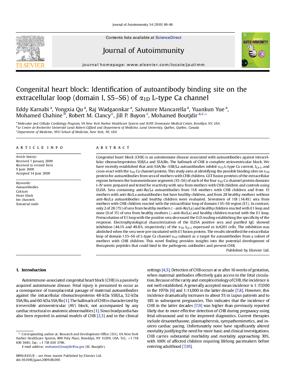 Congenital heart block: Identification of autoantibody binding site on the extracellular loop (domain I, S5–S6) of α1D L-type Ca channel