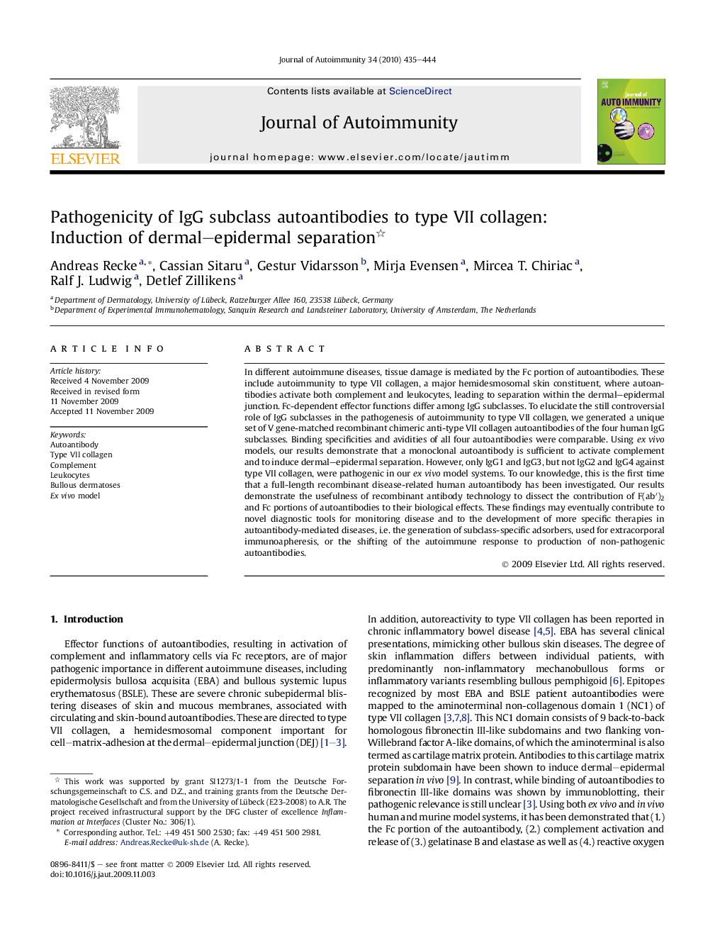 Pathogenicity of IgG subclass autoantibodies to type VII collagen: Induction of dermal–epidermal separation 