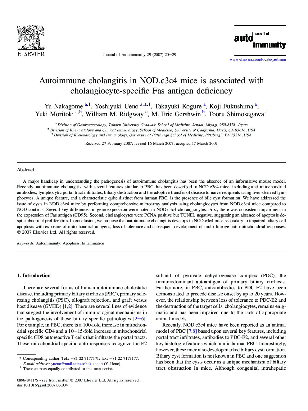 Autoimmune cholangitis in NOD.c3c4 mice is associated with cholangiocyte-specific Fas antigen deficiency