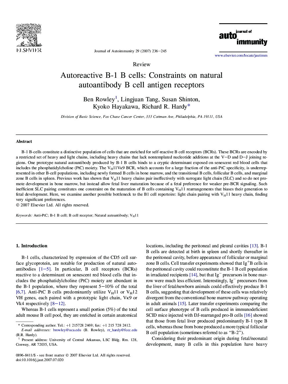 Autoreactive B-1 B cells: Constraints on natural autoantibody B cell antigen receptors