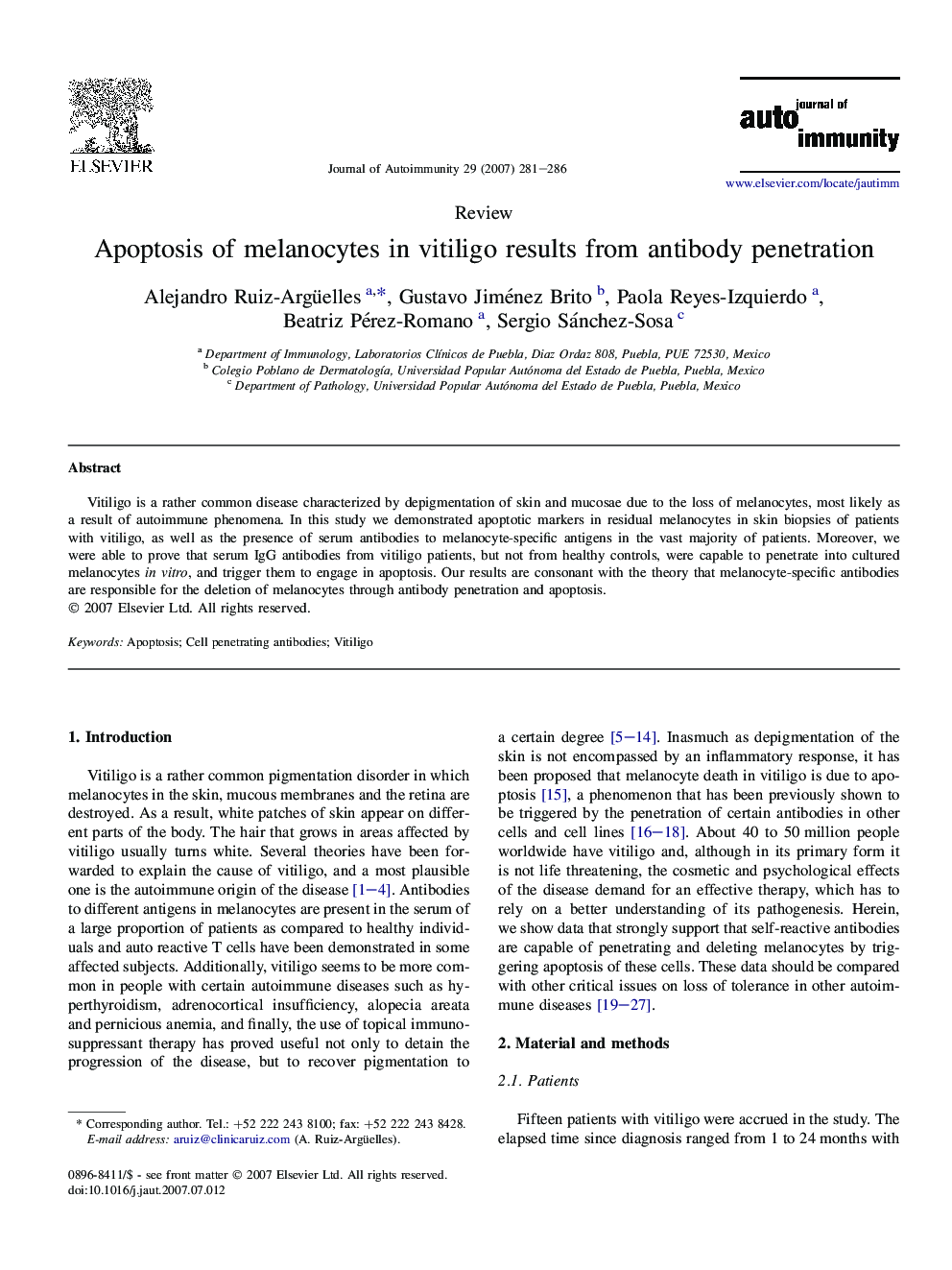 Apoptosis of melanocytes in vitiligo results from antibody penetration