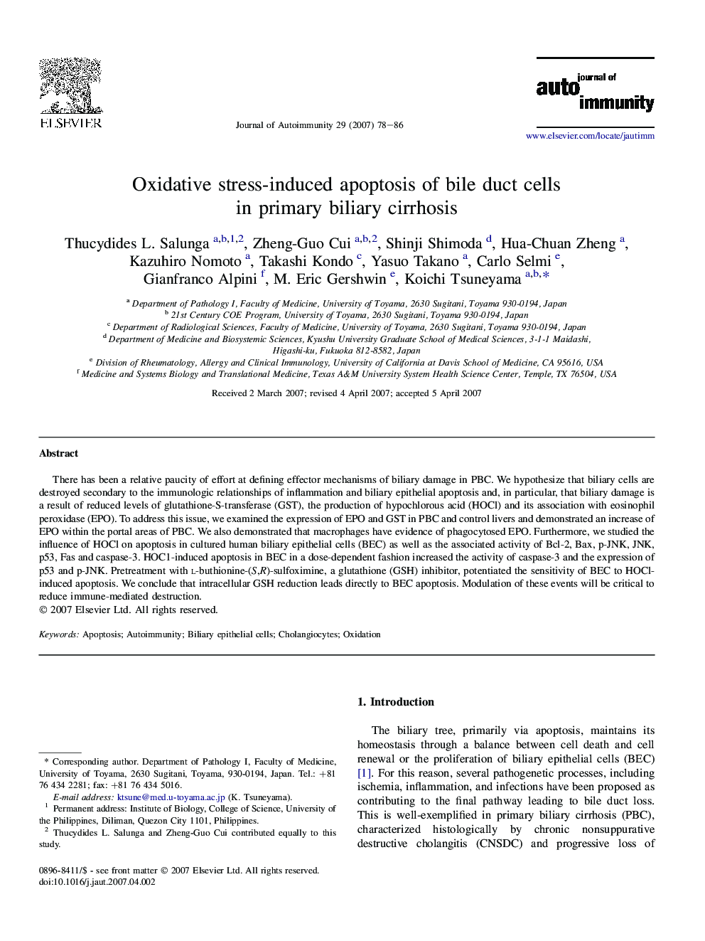 Oxidative stress-induced apoptosis of bile duct cells in primary biliary cirrhosis