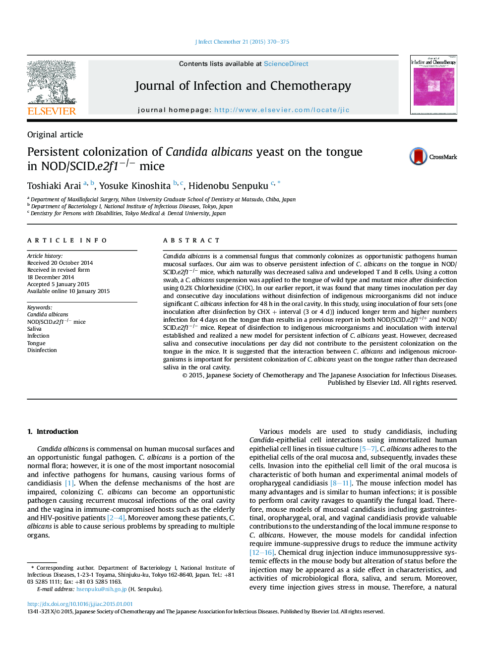 Persistent colonization of Candida albicans yeast on the tongue in NOD/SCID.e2f1−/− mice