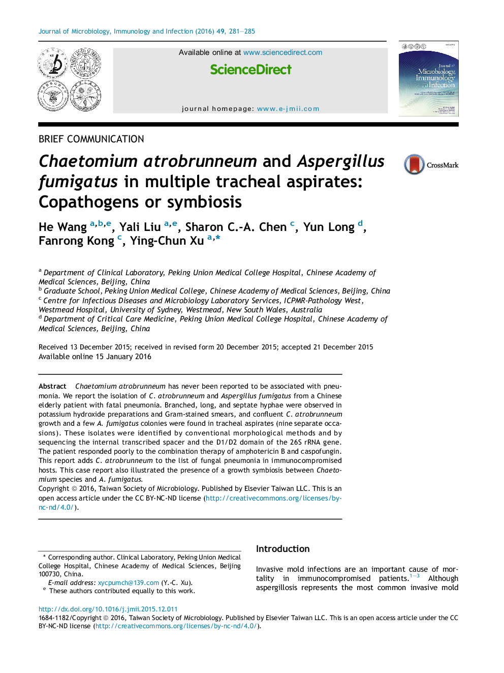 Chaetomium atrobrunneum and Aspergillus fumigatus in multiple tracheal aspirates: Copathogens or symbiosis