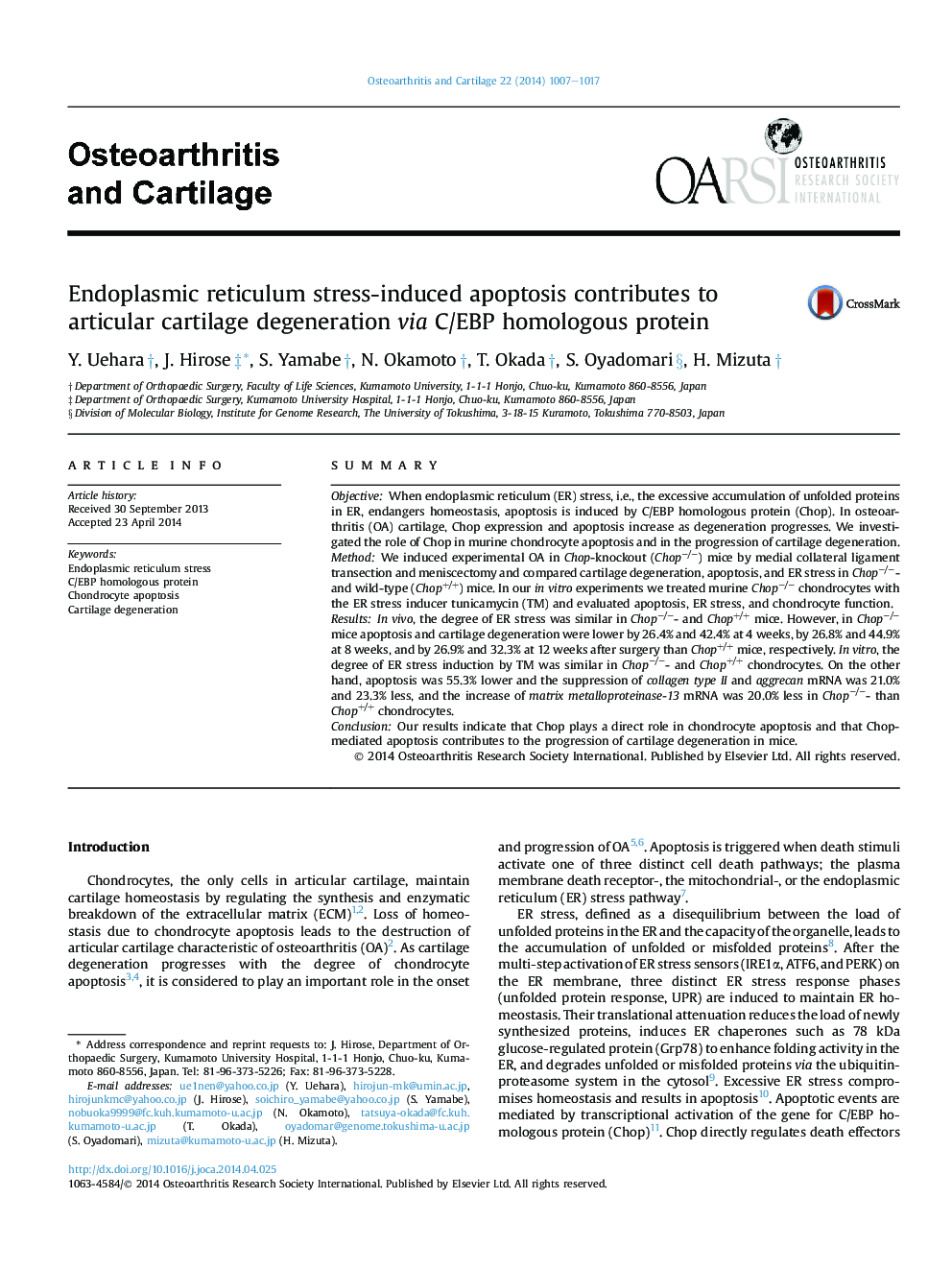 Endoplasmic reticulum stress-induced apoptosis contributes to articular cartilage degeneration via C/EBP homologous protein