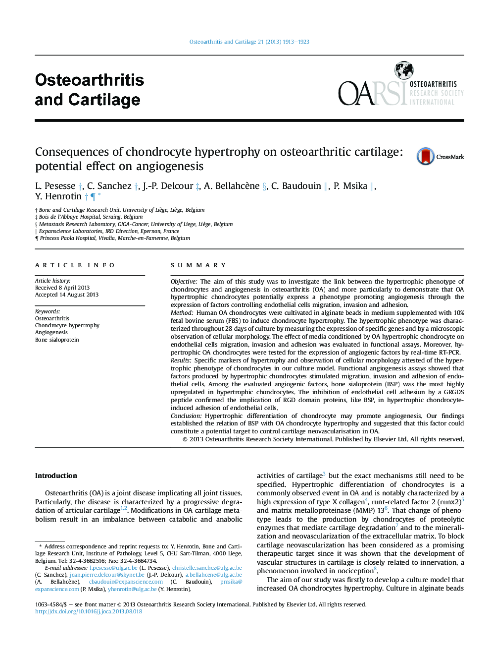 Consequences of chondrocyte hypertrophy on osteoarthritic cartilage: potential effect on angiogenesis