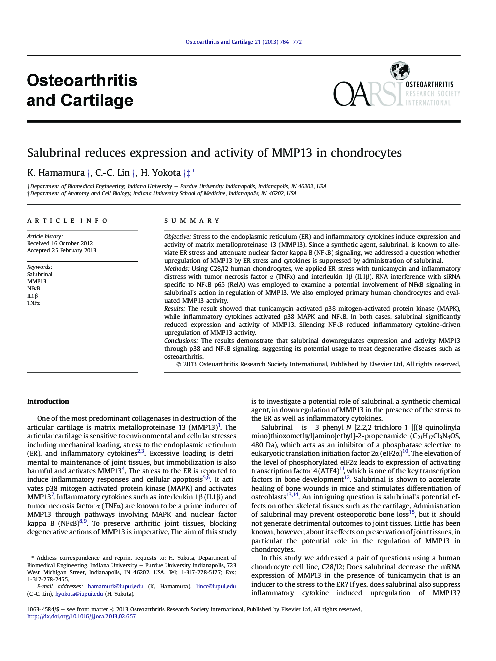 Salubrinal reduces expression and activity of MMP13 in chondrocytes