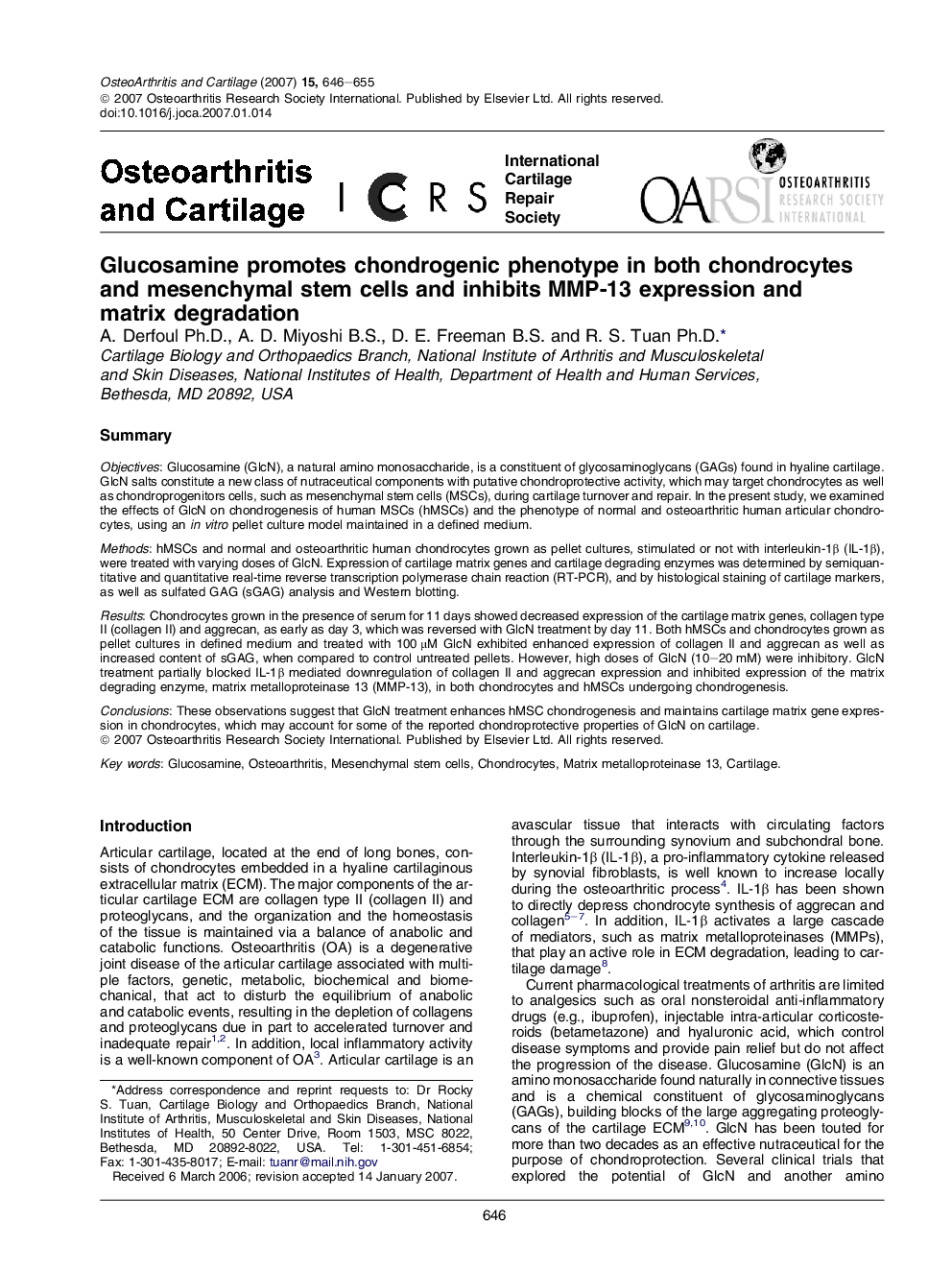 Glucosamine promotes chondrogenic phenotype in both chondrocytes and mesenchymal stem cells and inhibits MMP-13 expression and matrix degradation