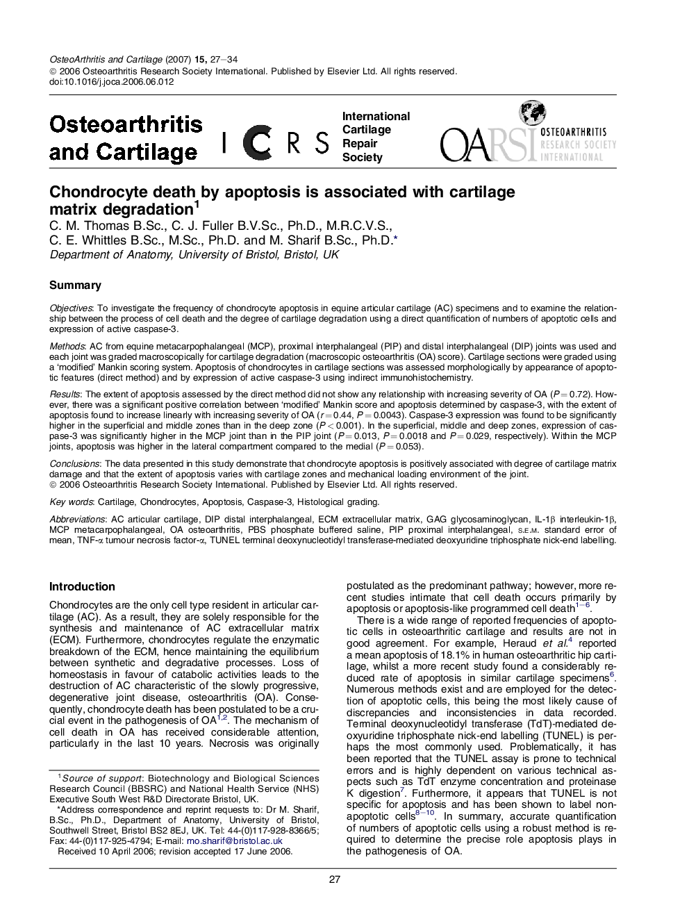 Chondrocyte death by apoptosis is associated with cartilage matrix degradation 1