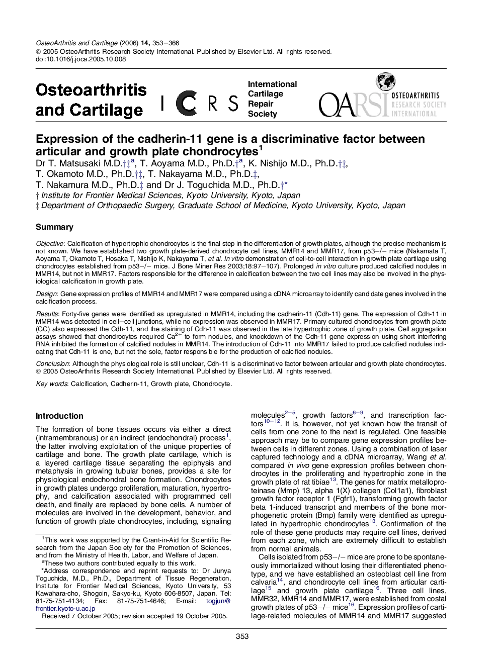 Expression of the cadherin-11 gene is a discriminative factor between articular and growth plate chondrocytes 1