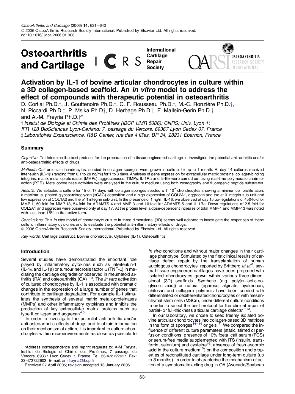 Activation by IL-1 of bovine articular chondrocytes in culture within a 3D collagen-based scaffold. An in vitro model to address the effect of compounds with therapeutic potential in osteoarthritis