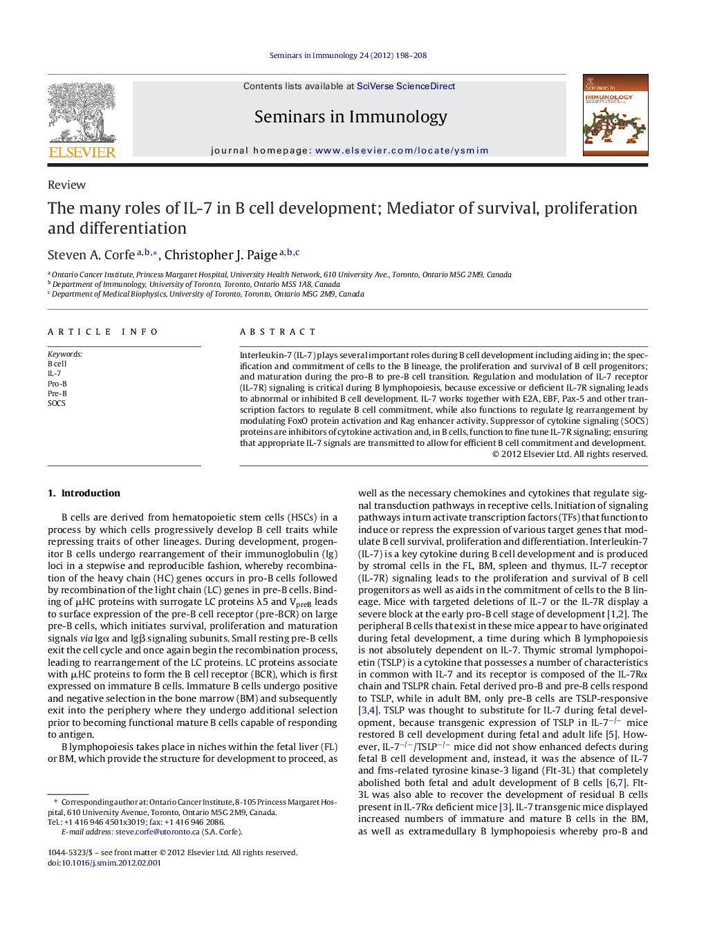 The many roles of IL-7 in B cell development; Mediator of survival, proliferation and differentiation