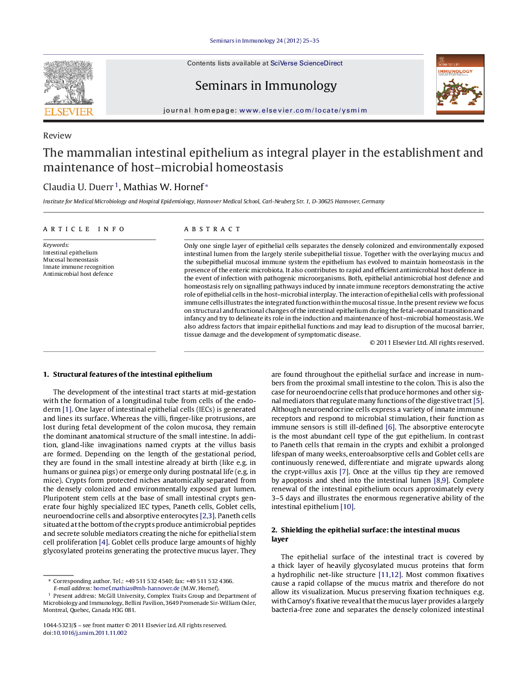 The mammalian intestinal epithelium as integral player in the establishment and maintenance of host–microbial homeostasis