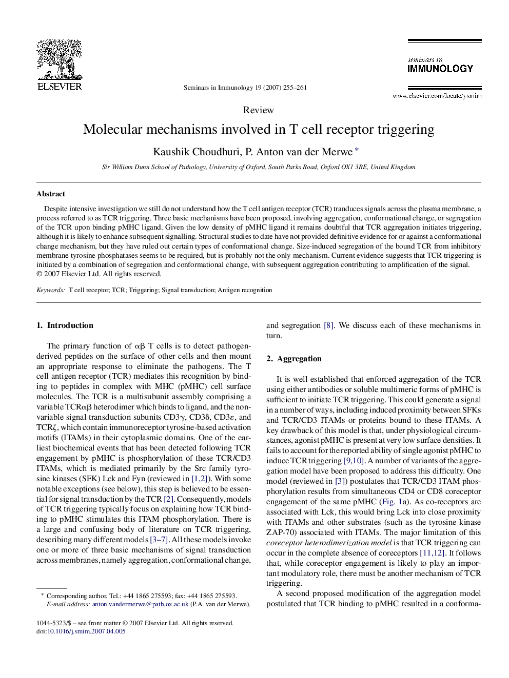 Molecular mechanisms involved in T cell receptor triggering