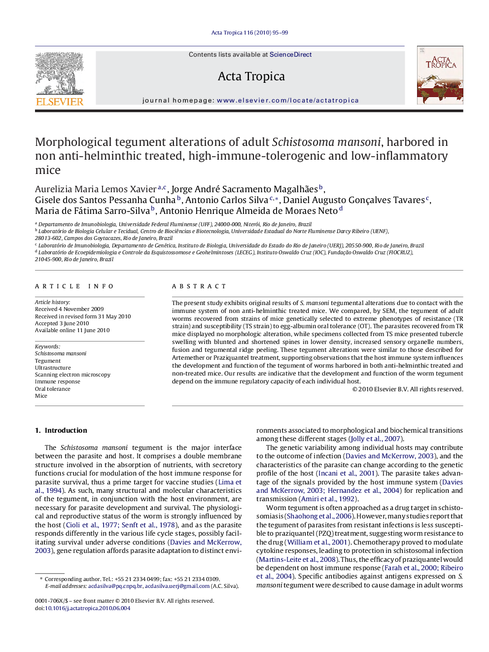 Morphological tegument alterations of adult Schistosoma mansoni, harbored in non anti-helminthic treated, high-immune-tolerogenic and low-inflammatory mice