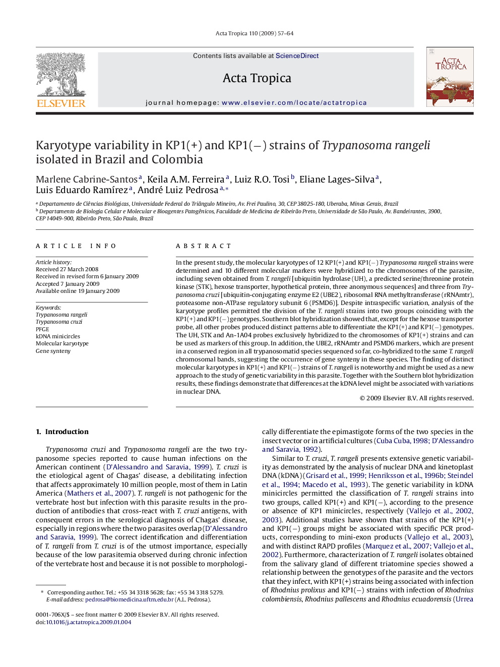 Karyotype variability in KP1(+) and KP1(−) strains of Trypanosoma rangeli isolated in Brazil and Colombia