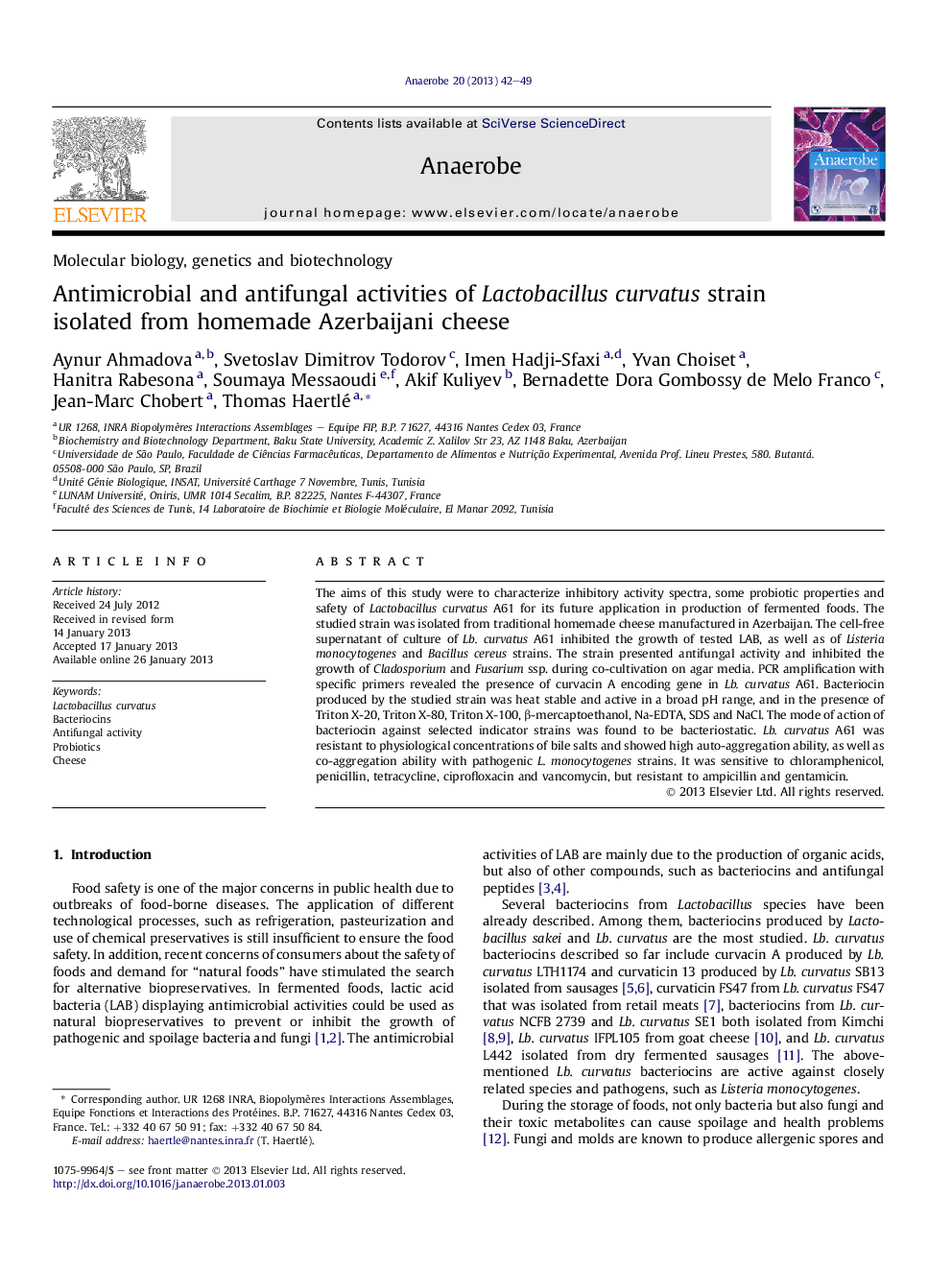 Antimicrobial and antifungal activities of Lactobacillus curvatus strain isolated from homemade Azerbaijani cheese