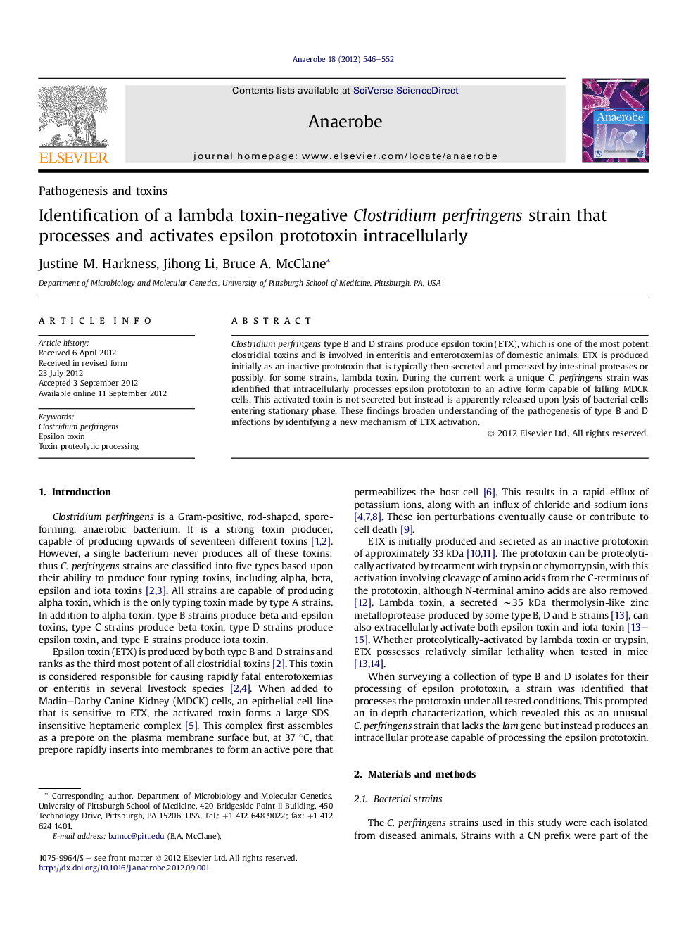 Identification of a lambda toxin-negative Clostridium perfringens strain that processes and activates epsilon prototoxin intracellularly