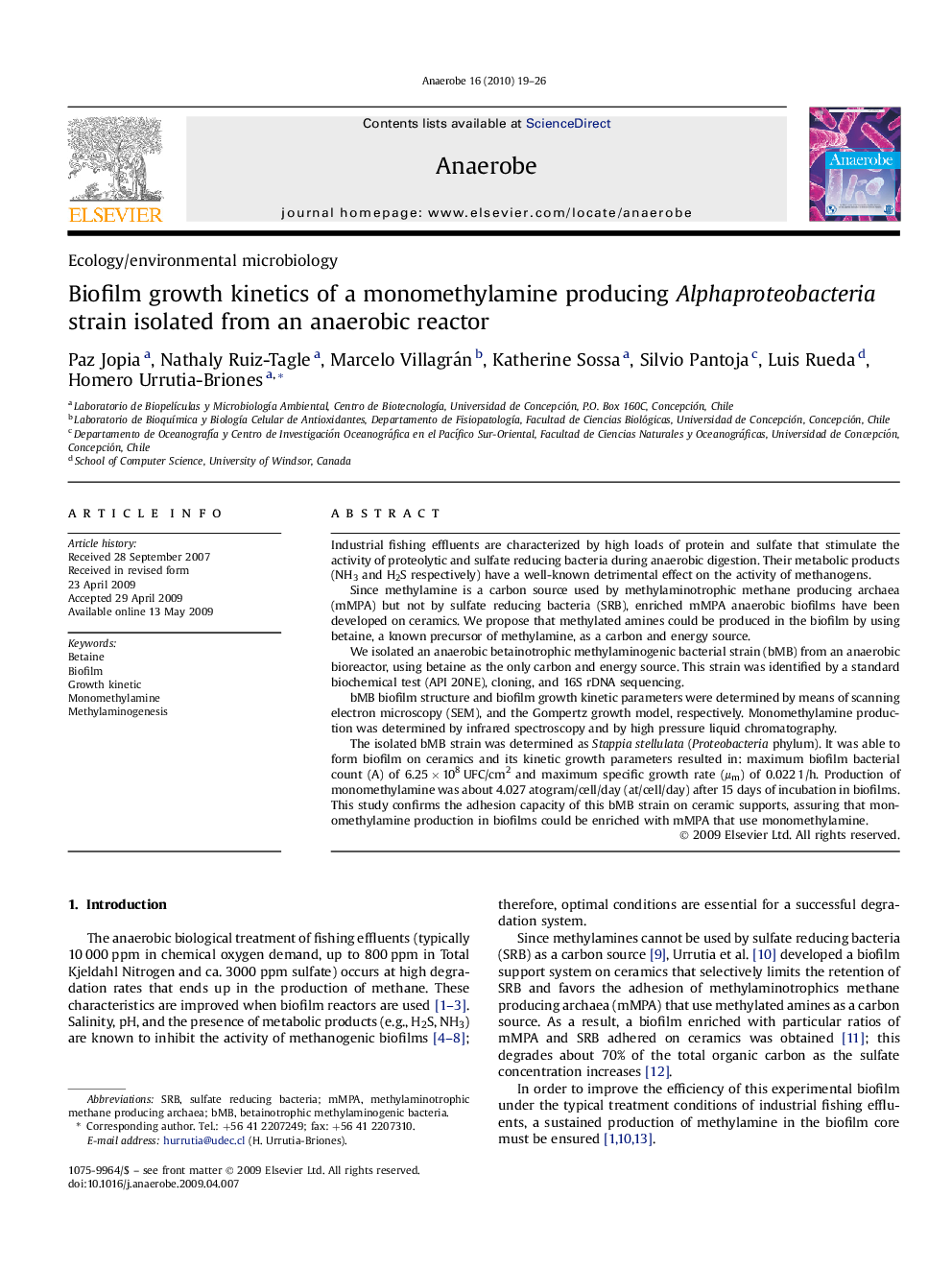 Biofilm growth kinetics of a monomethylamine producing Alphaproteobacteria strain isolated from an anaerobic reactor