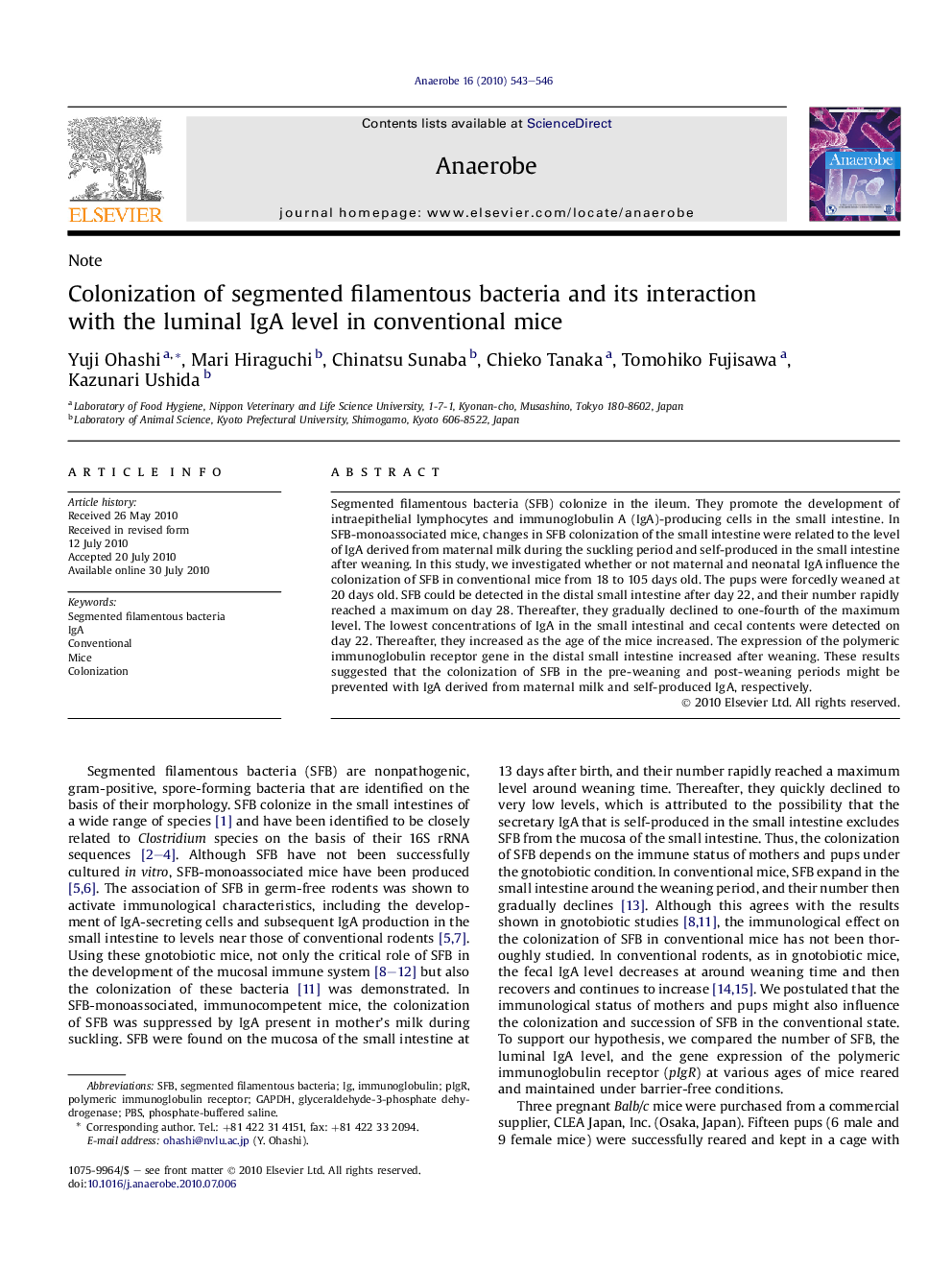 Colonization of segmented filamentous bacteria and its interaction with the luminal IgA level in conventional mice