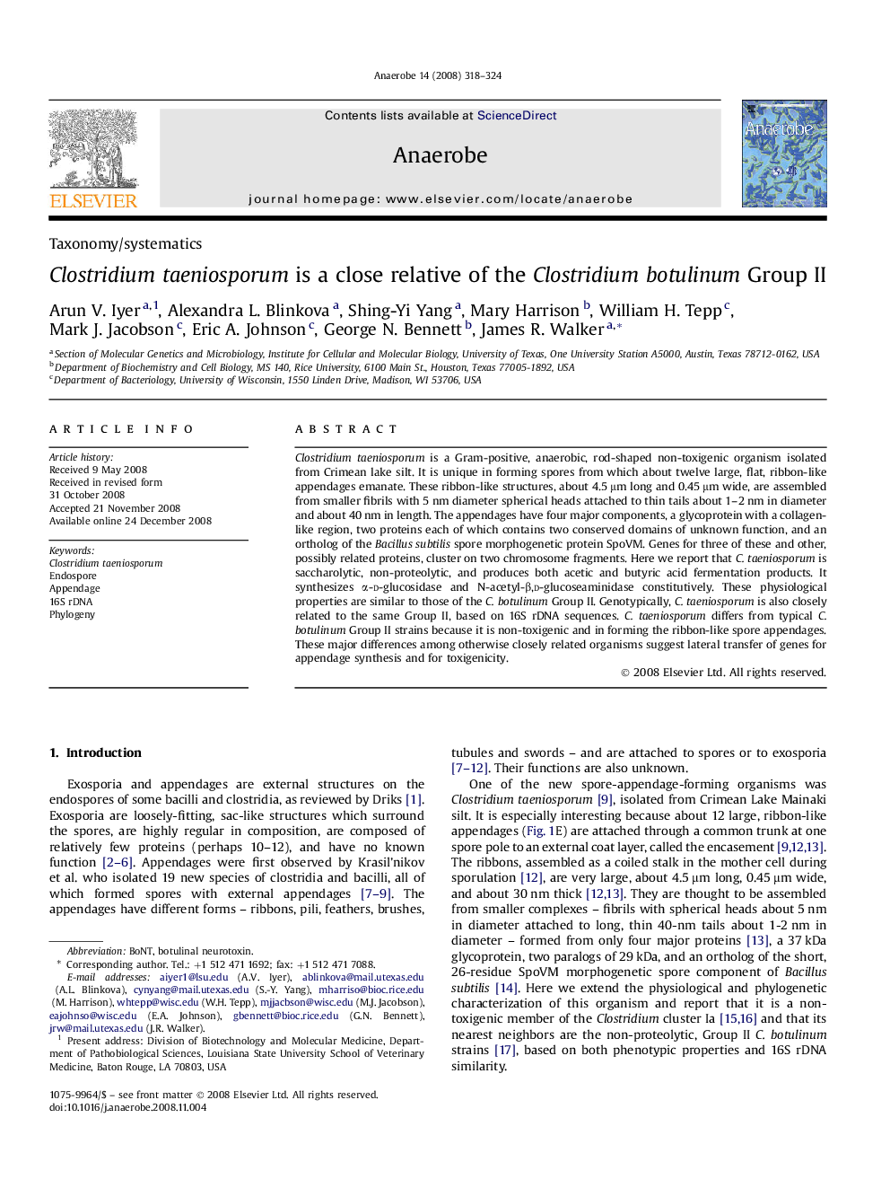 Clostridium taeniosporum is a close relative of the Clostridium botulinum Group II