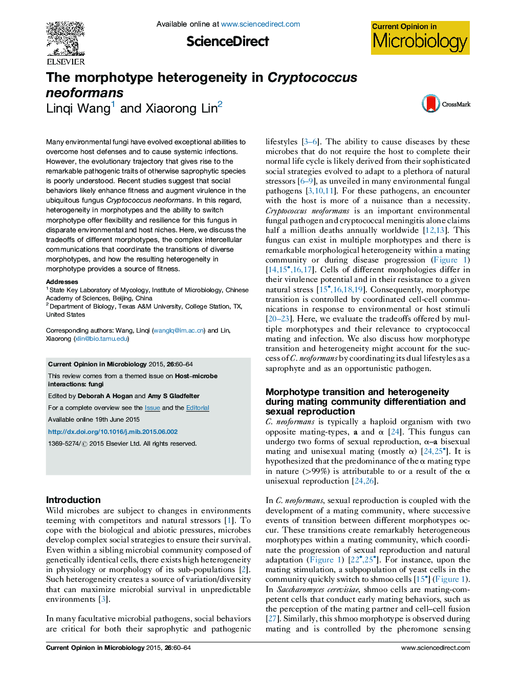 The morphotype heterogeneity in Cryptococcus neoformans