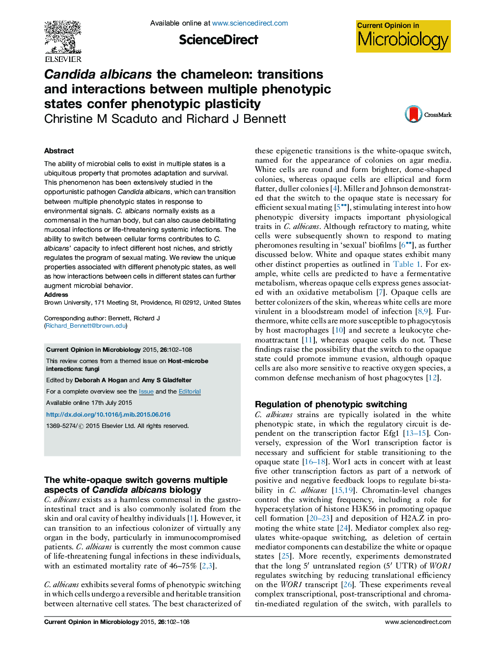 Candida albicans the chameleon: transitions and interactions between multiple phenotypic states confer phenotypic plasticity