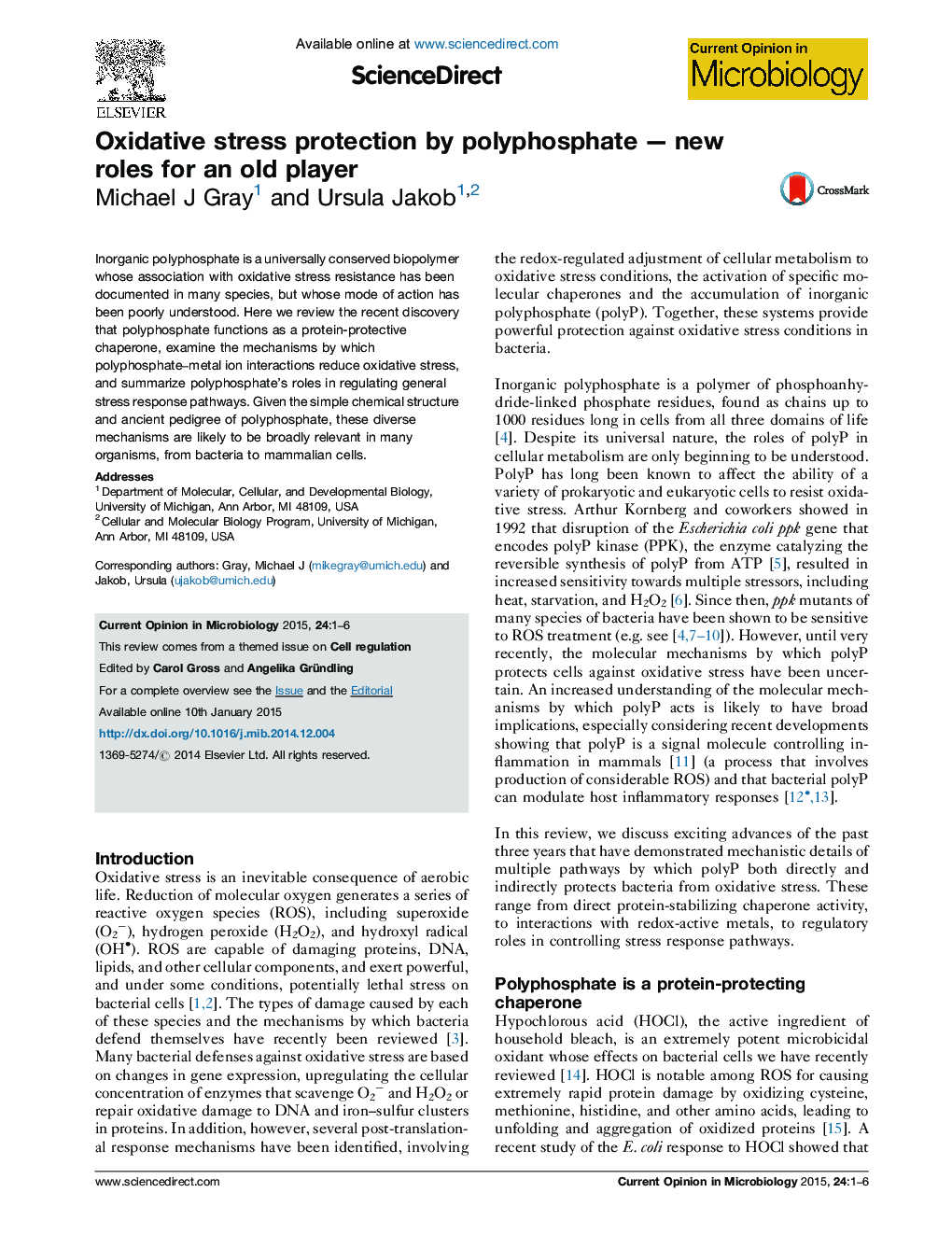 Oxidative stress protection by polyphosphate — new roles for an old player