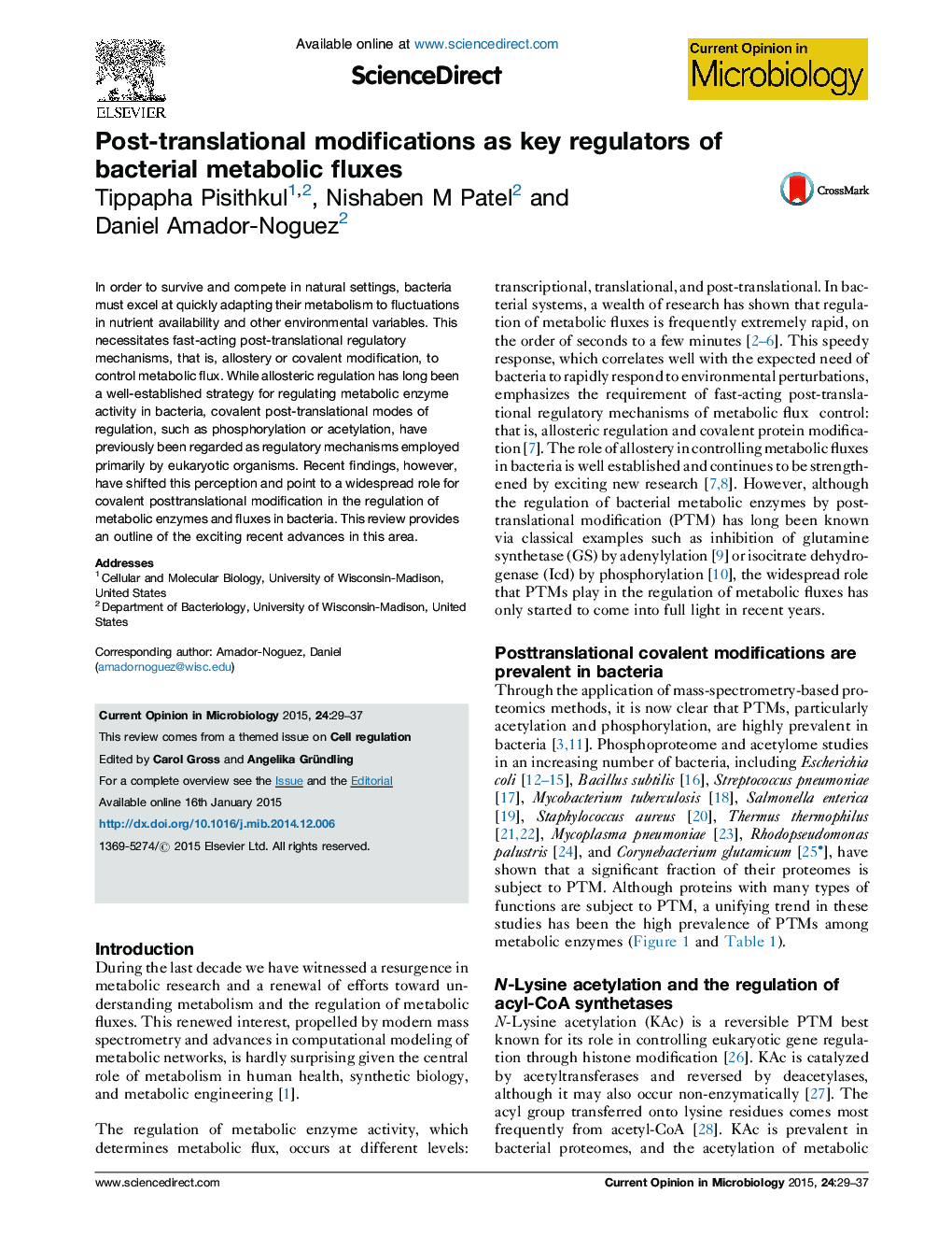 Post-translational modifications as key regulators of bacterial metabolic fluxes