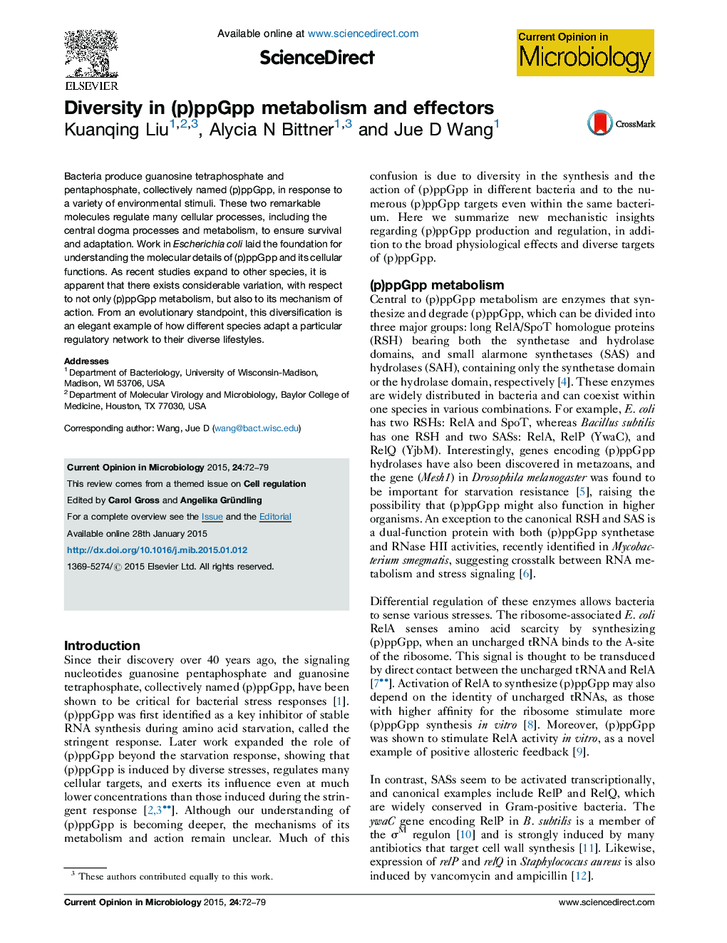 Diversity in (p)ppGpp metabolism and effectors