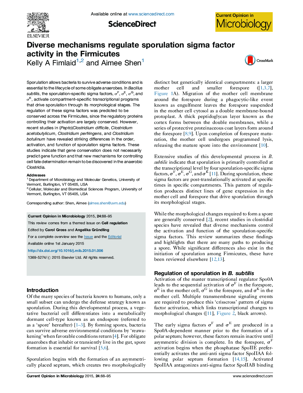 Diverse mechanisms regulate sporulation sigma factor activity in the Firmicutes